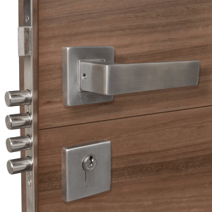 Puerta de Seguridad Venecia / Eucalipto